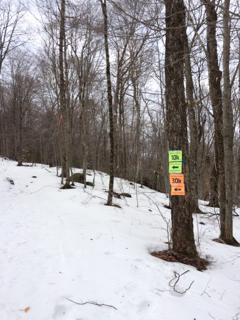 Markers on tree on the Snowshoe Race trail